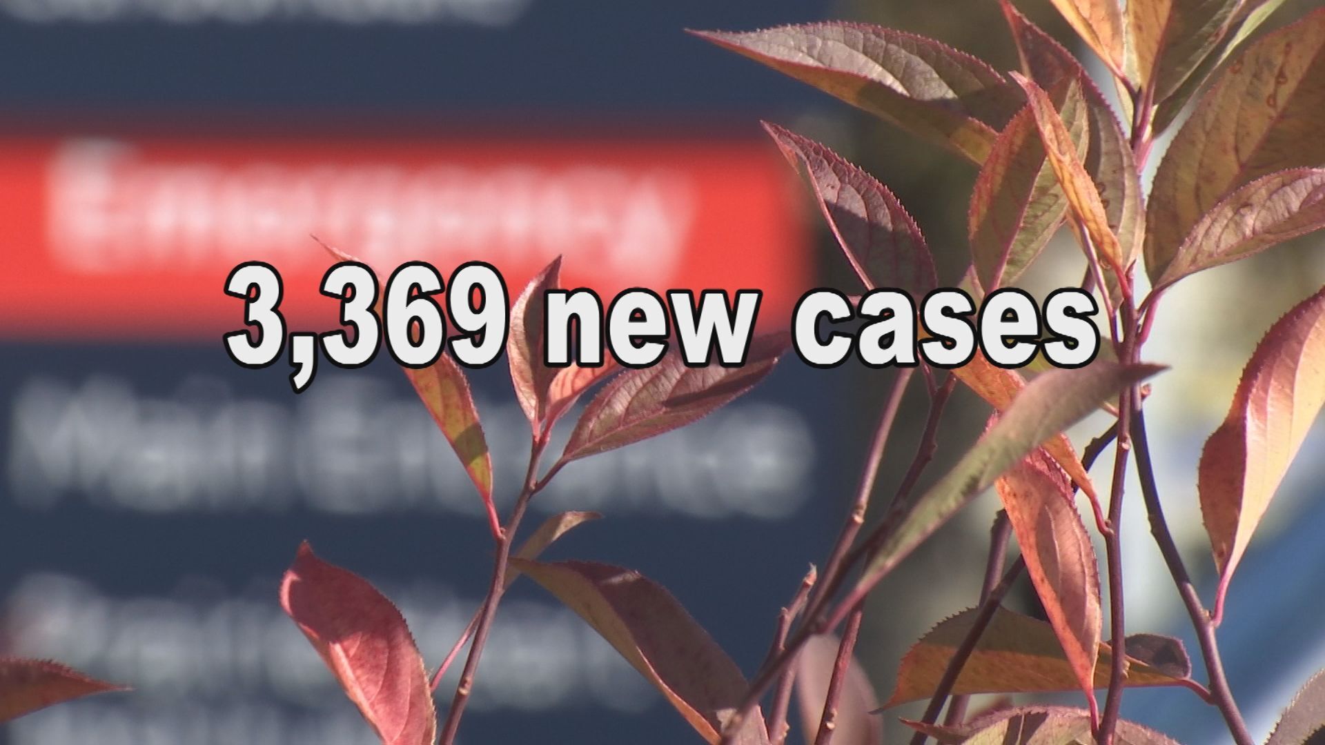 illinois case count